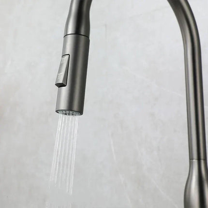 AquaStream Luxe – Verstelbare Keukenkraan met Handdouche
