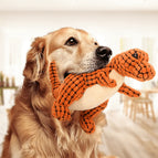 2x Oranje (1+1 Gratis)