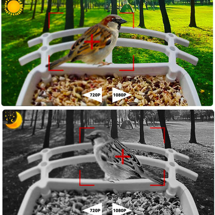 Draadloze Solar Vogelvoederplaats - Verken de natuur op unieke wijze!