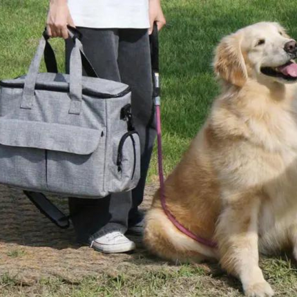 OutdoorPaw Bag – Onmisbare Rugtas voor Avonturen