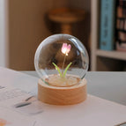 1 paarse tulp