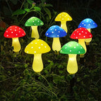 8 Kleurrijke Paddenstoelen