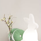 50 cm / LED WW