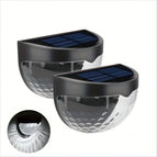 Zwart Shell Wit Licht / 6st