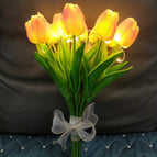 Wit Roze / 10 Stuks