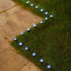 Wit Licht / 15