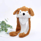 Bruine Hond