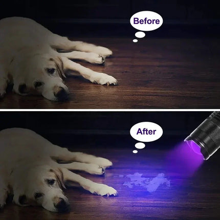 GlowInspect - UV Zaklamp voor Urine en Vlekken