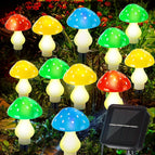 12 Hoofden Kleur