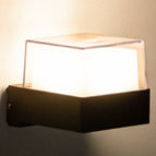 Warm wit / B50S / 6W