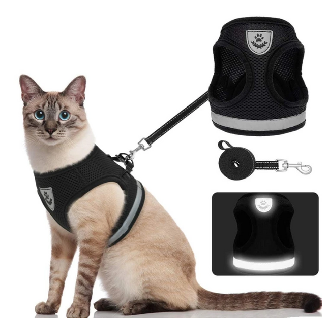AdventureKit - Veilig Tuigje voor Avontuurlijke Katten