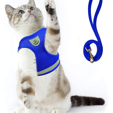 AdventureKit - Veilig Tuigje voor Avontuurlijke Katten