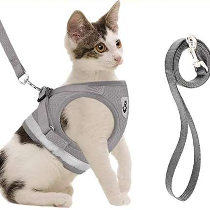AdventureKit - Veilig Tuigje voor Avontuurlijke Katten