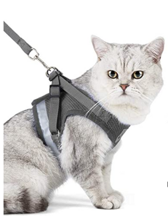 AdventureKit - Veilig Tuigje voor Avontuurlijke Katten