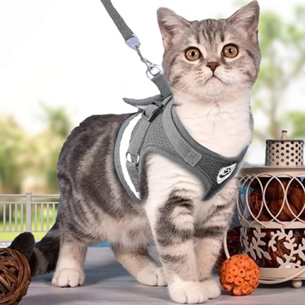 AdventureKit - Veilig Tuigje voor Avontuurlijke Katten