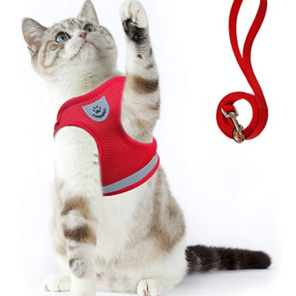 AdventureKit - Veilig Tuigje voor Avontuurlijke Katten