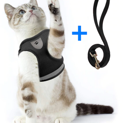 AdventureKit - Veilig Tuigje voor Avontuurlijke Katten