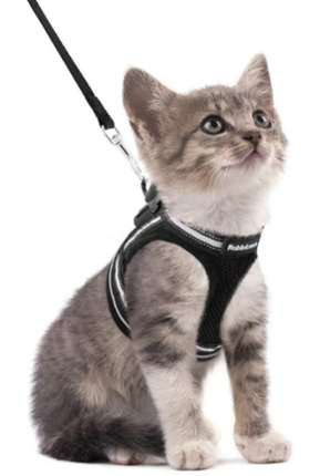 AdventureKit - Veilig Tuigje voor Avontuurlijke Katten