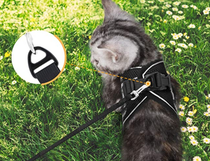 AdventureKit - Veilig Tuigje voor Avontuurlijke Katten