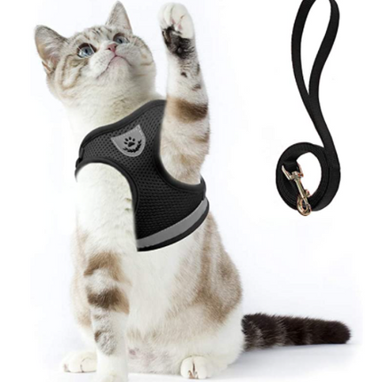 AdventureKit - Veilig Tuigje voor Avontuurlijke Katten