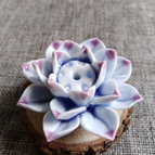 B - Wit Blauw Paars