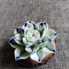 E - Licht-Groen Blauw
