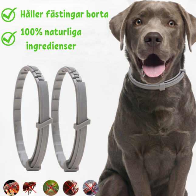 FleaShield Collar – Bescherming tegen Vlooien en Teken