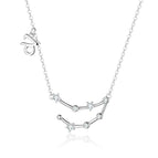 Zilver / Steenbok
