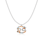 Zilver / Kreeft