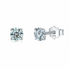 2.5 mm / Zilver